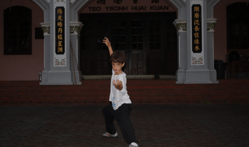 Tai Chi and Qi Gong
