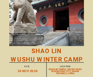 Shaolin Wushu Winter Camp