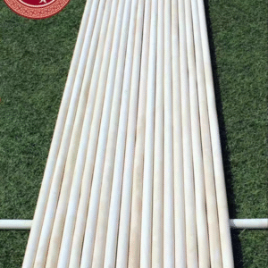 Training Stick